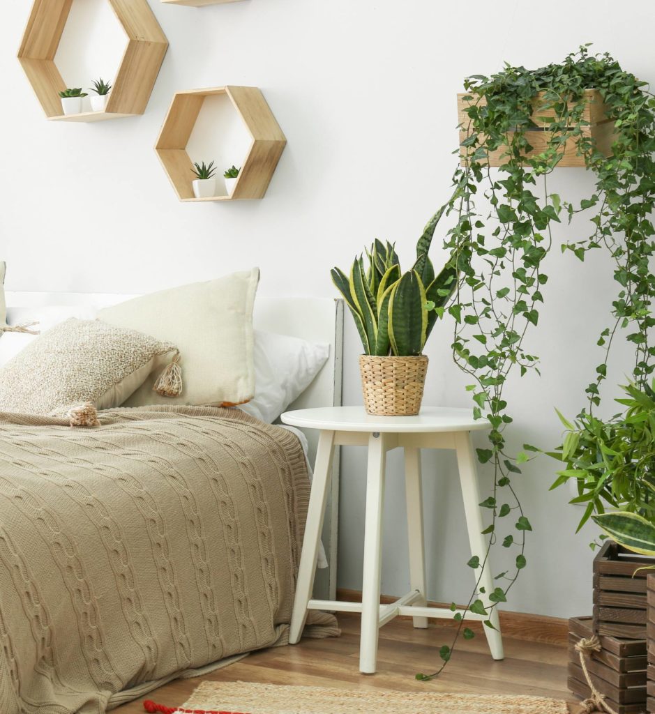 Make Your Space Look And Feel Better With These 12 NASA-Approved Houseplants