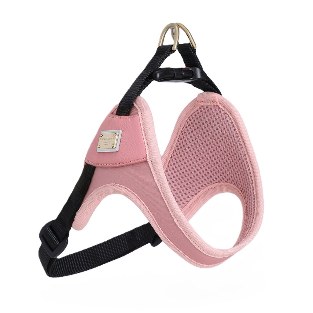 Gift Guide For The Friend Who Has A Dog