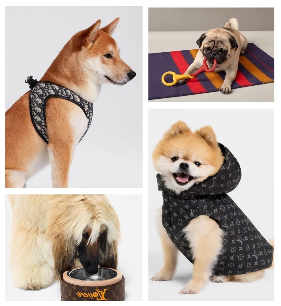Gift Guide For The Friend Who Has A Dog