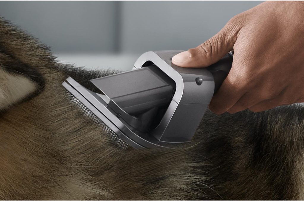 Gift Guide For The Friend Who Has A Dog