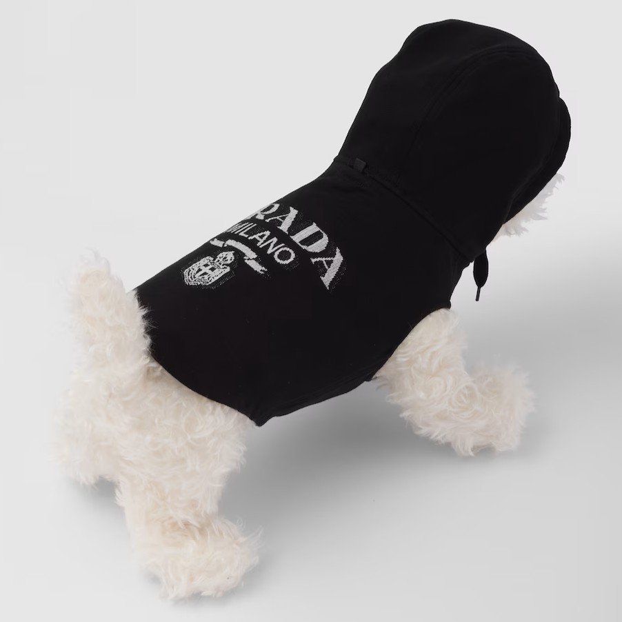 Gift Guide For The Friend Who Has A Dog