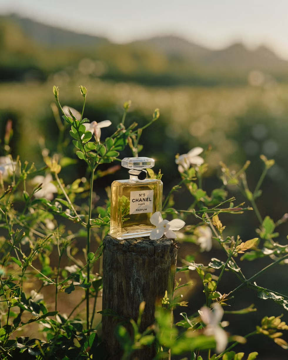 8 Things You Probably Don’t Know About Chanel No. 5