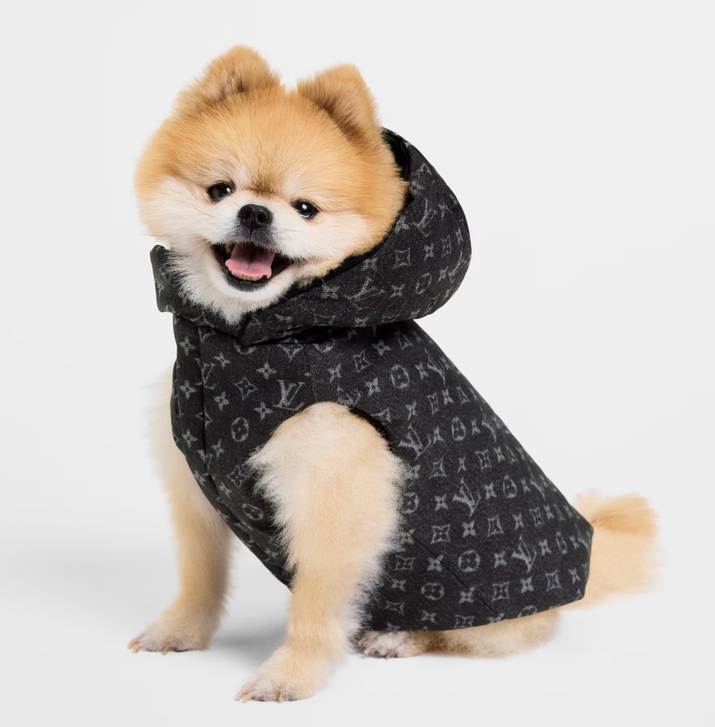 Gift Guide For The Friend Who Has A Dog
