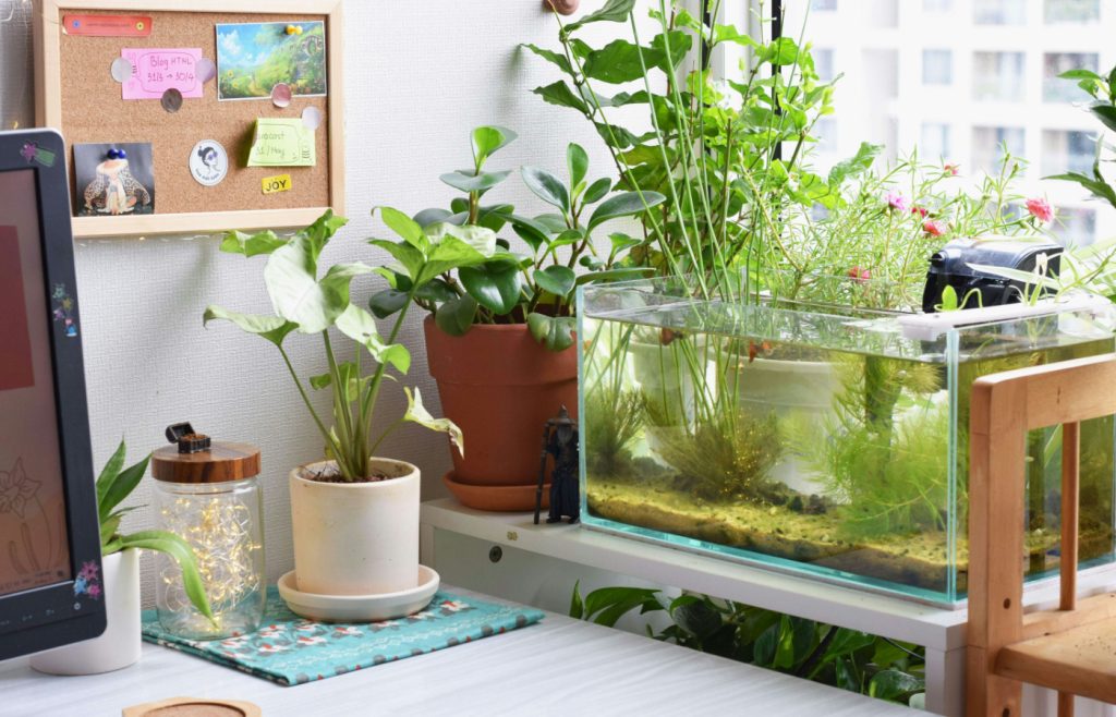 How To Improve Feng Shui At Home For Better Luck In 2026