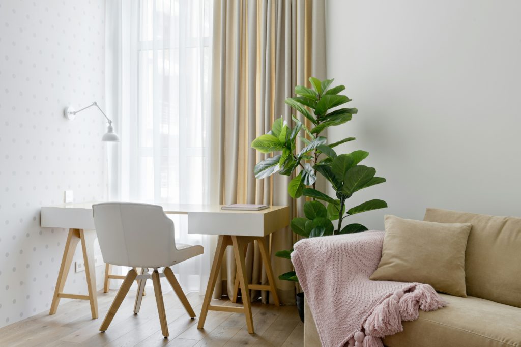 How To Improve Feng Shui At Home For Better Luck In 2026
