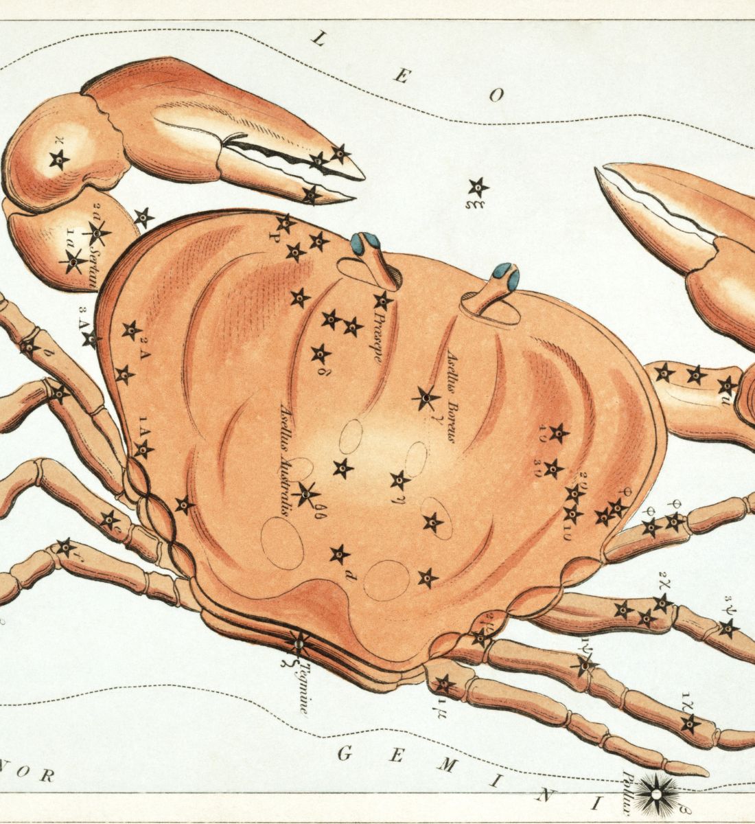 June 2026 Horoscope: Start Anew This Cancer Season