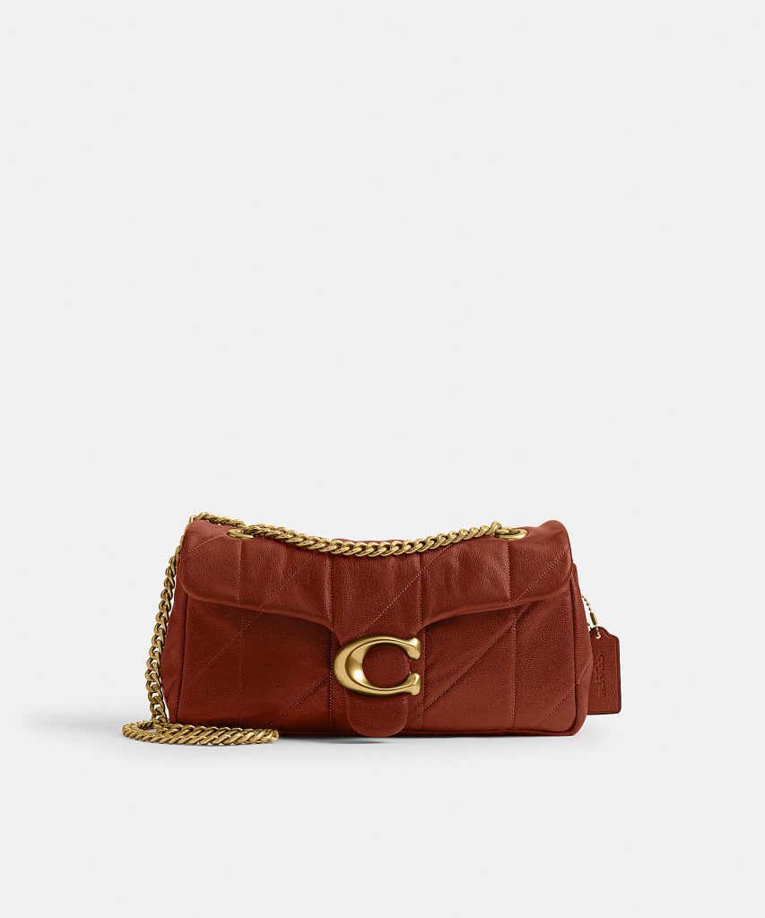 The Best Coach Bags That Work From Day To Night