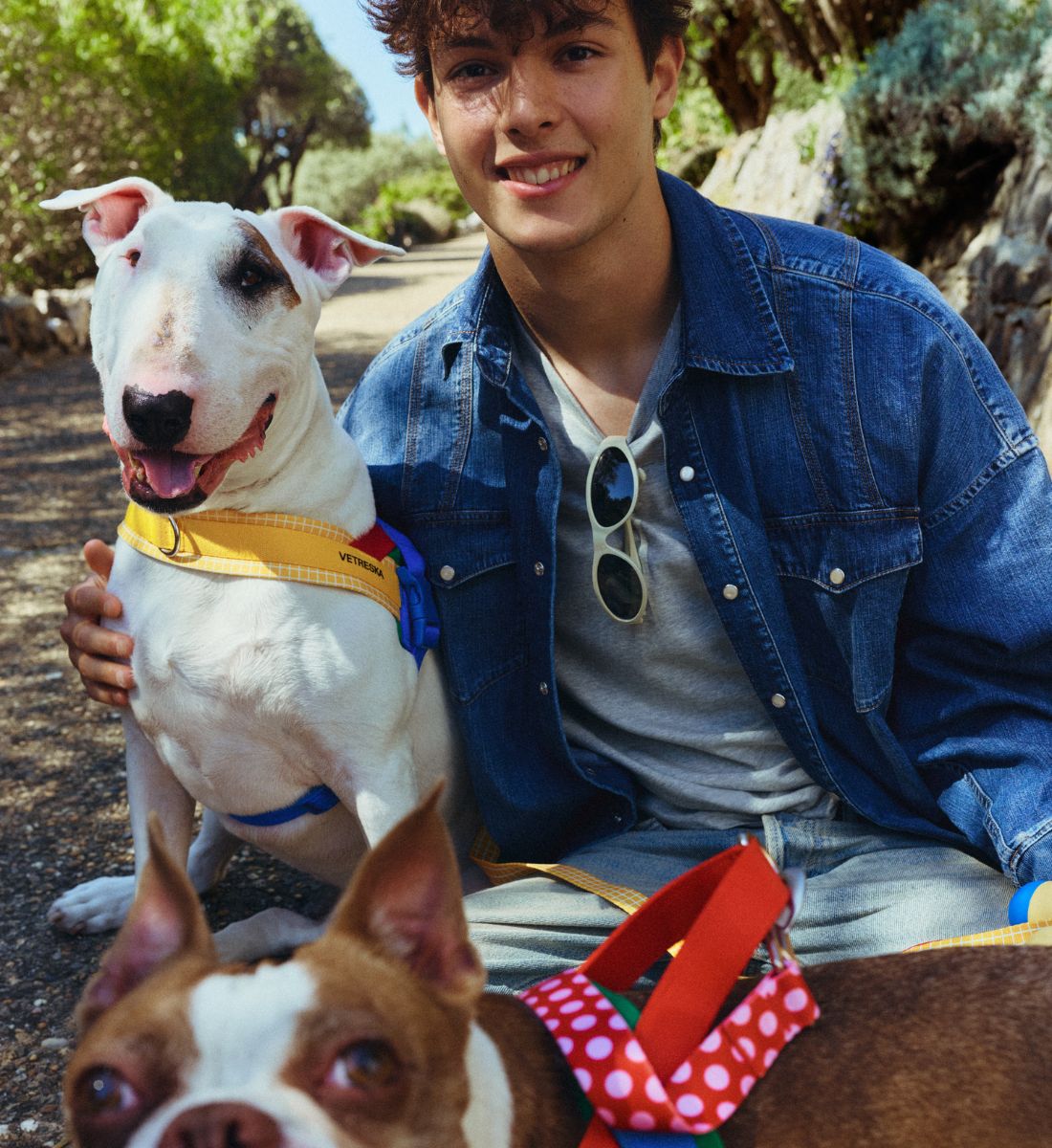 Pet Lifestyle Brand VETRESKA & F1 Driver Ollie Bearman Launch Motorsport-Inspired Circuit Capsule Collection